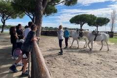 Spiaggia-Romea-2025-1