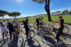 Spiaggia-Romea-2025-3