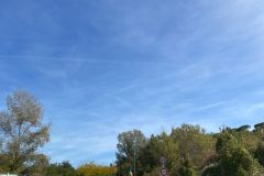 Marcia-per-la-pace-2025-24