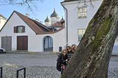 71b2fc0e-e1ca-4535-b71d-3d815fe98223