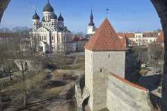 98ad6ba4-a3ea-4455-9366-01de4cb20583