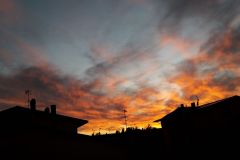 ludovica-falcone_36032516