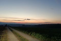 samuele-morettini_564d2ad1