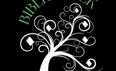 logo bibliohack