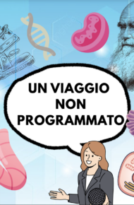 un viaggio non programmato