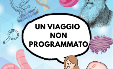 un viaggio non programmato